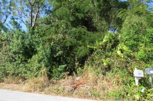 806 Oakwood Ave, Key Largo, FL 33037